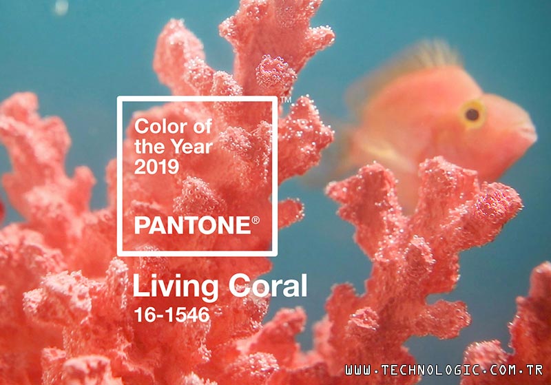 Pantone Canli Mercan Living Coral