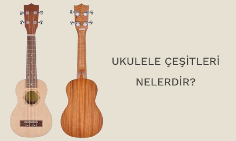 Ukulele çeşitleri