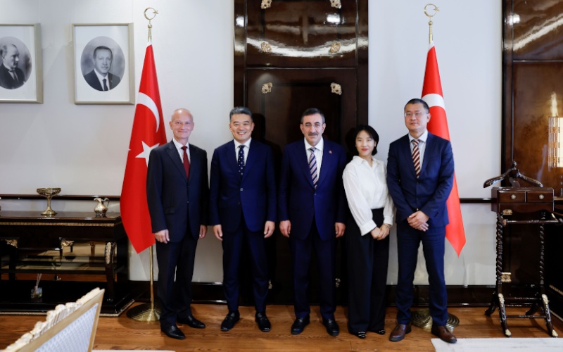 Netaş