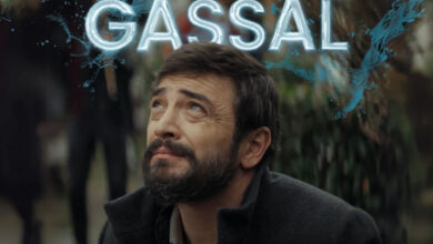 Gassal dizisi