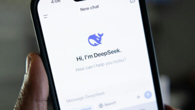 DeepSeek