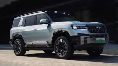 Fang Cheng Bao Bao 8