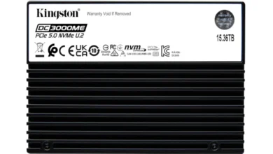 Kingston Digital DC3000ME SSD