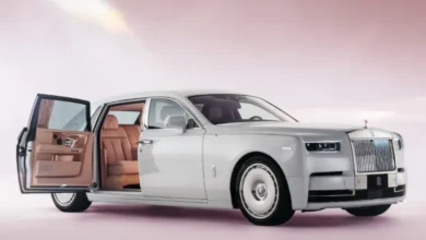 Phantom Cherry Blossom