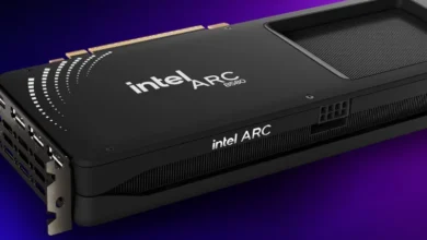 Arc Pro B-Serisi GPU