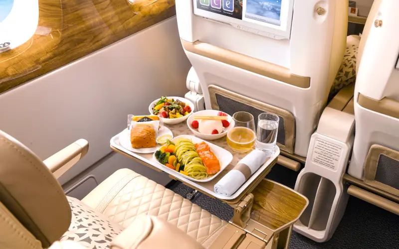 Emirates Skywards Premium Economy