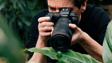 Makro fotoğrafçılık