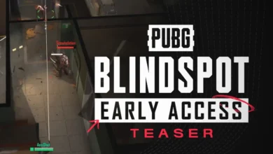 PUBG BLINDSPOT