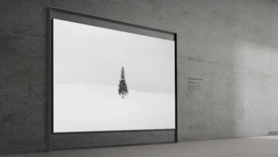 Samsung Micro RGB TV