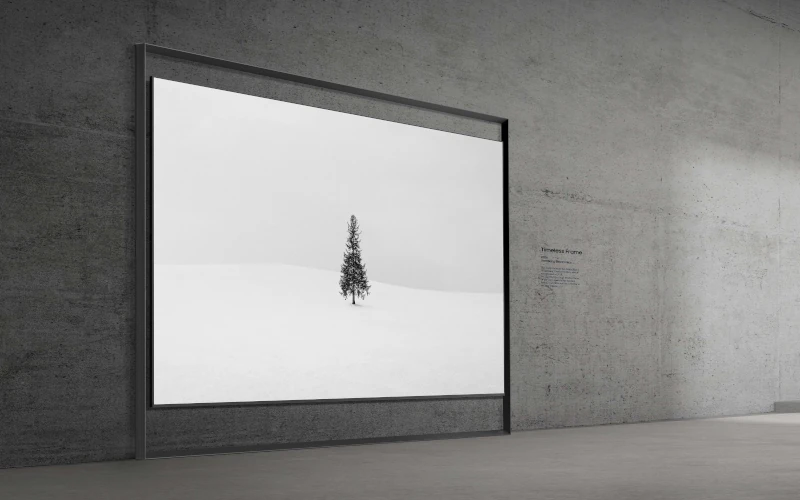 Samsung Micro RGB TV