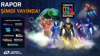 Türkiye Oyun Sektörü Raporu 2025