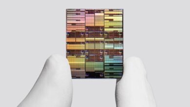 IBM