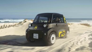 Citroën Ami Rip Curl