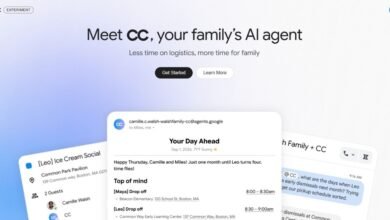 Google CC AI