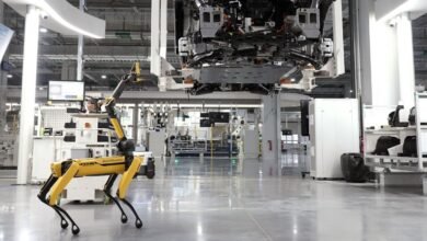 İnsansı Robotlar