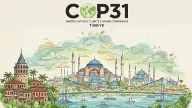 COP31